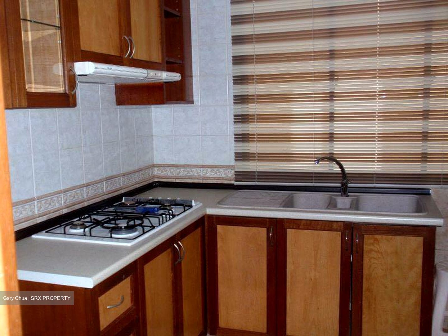 Parc Vista (D22), Condominium #558447271